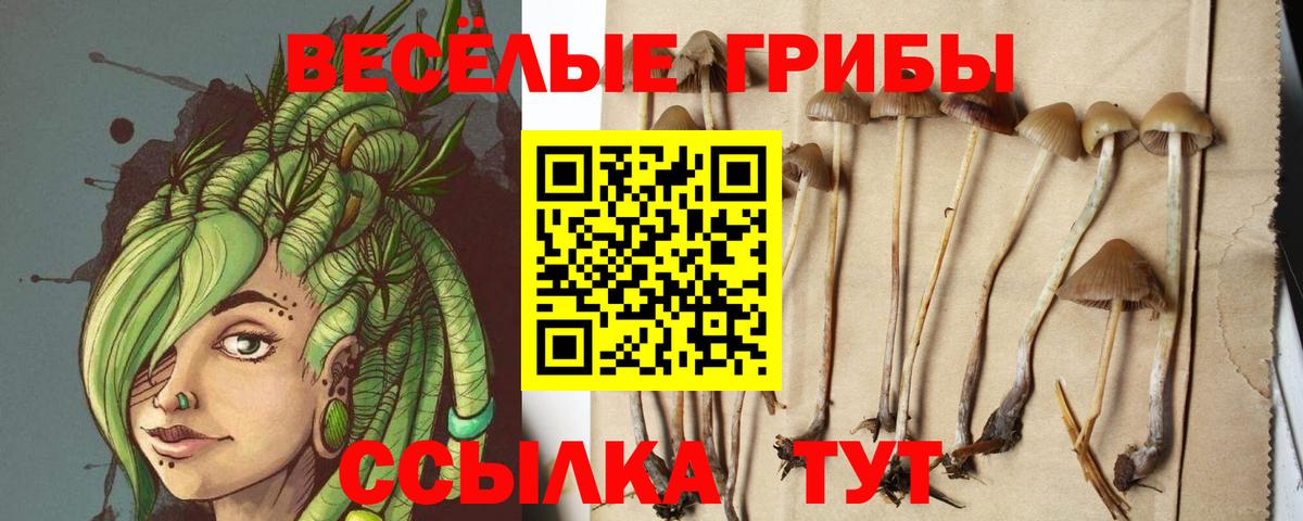 Псилоцибиновые грибы мицелий  Псилоцибиновые грибы ЛСД  как найти   Вход с VPN  Новодвинск 
